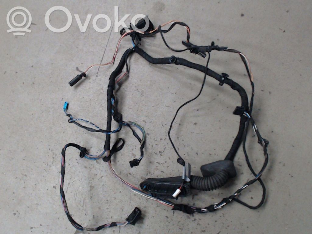 BMW X1 E84 Cableado de puerta delantera 