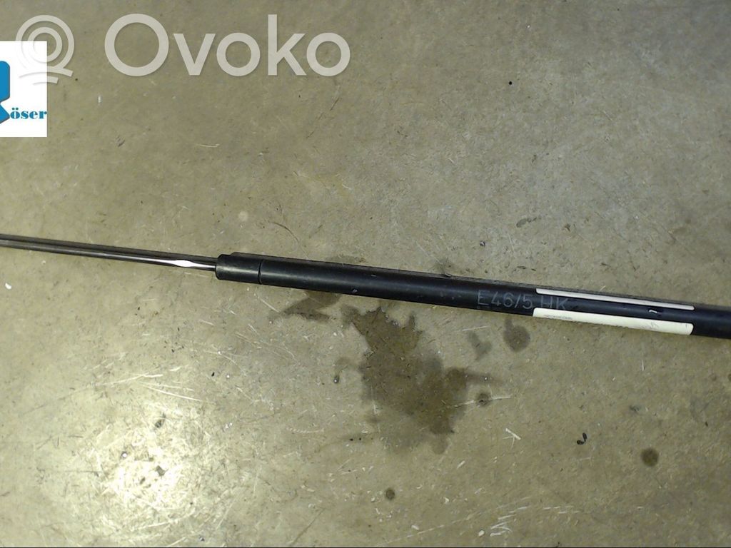 Tailgate/trunk strut/damper