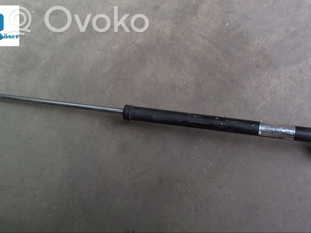 Tailgate/trunk strut/damper