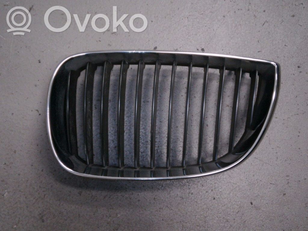 Front grill   51137179655