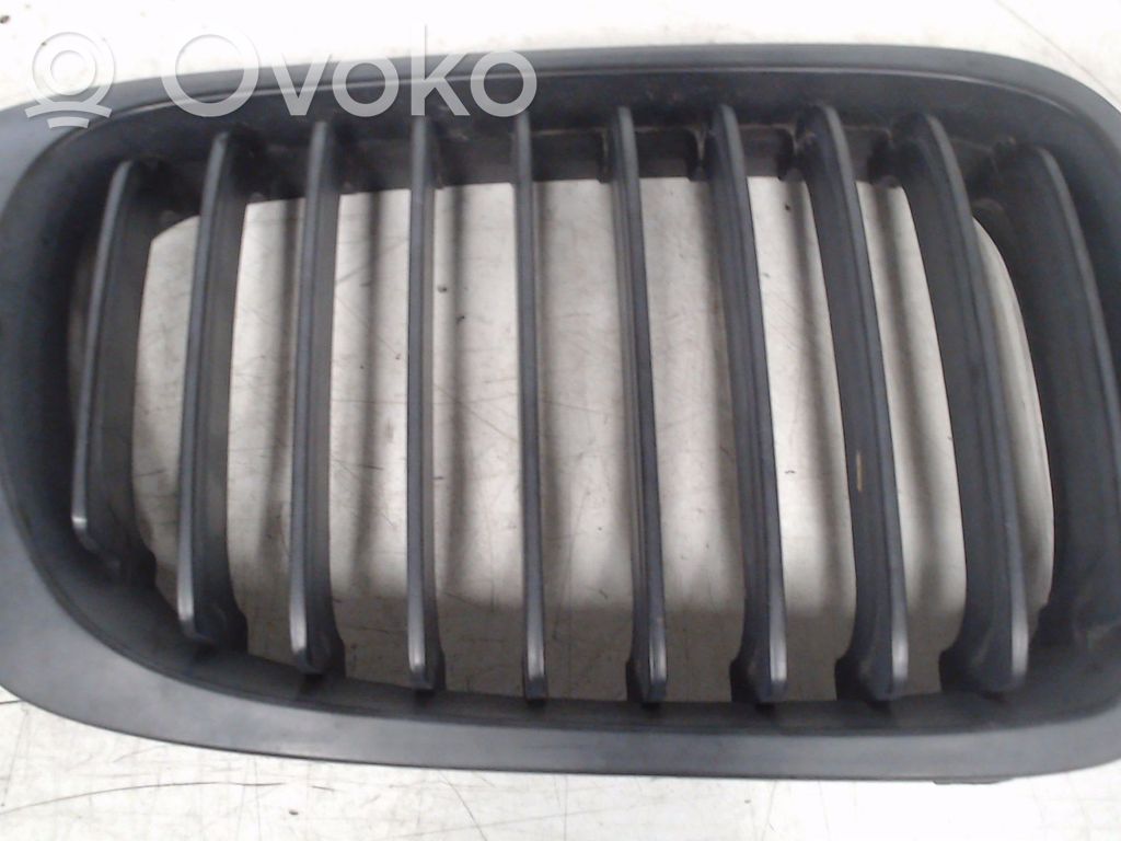 BMW 3 E46 Front grill 