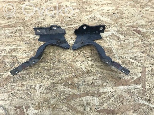 Hyundai Santa Fe Engine bonnet/hood hinges 