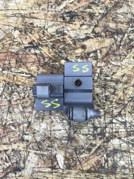 Rear door lower hinge   7200245,31731