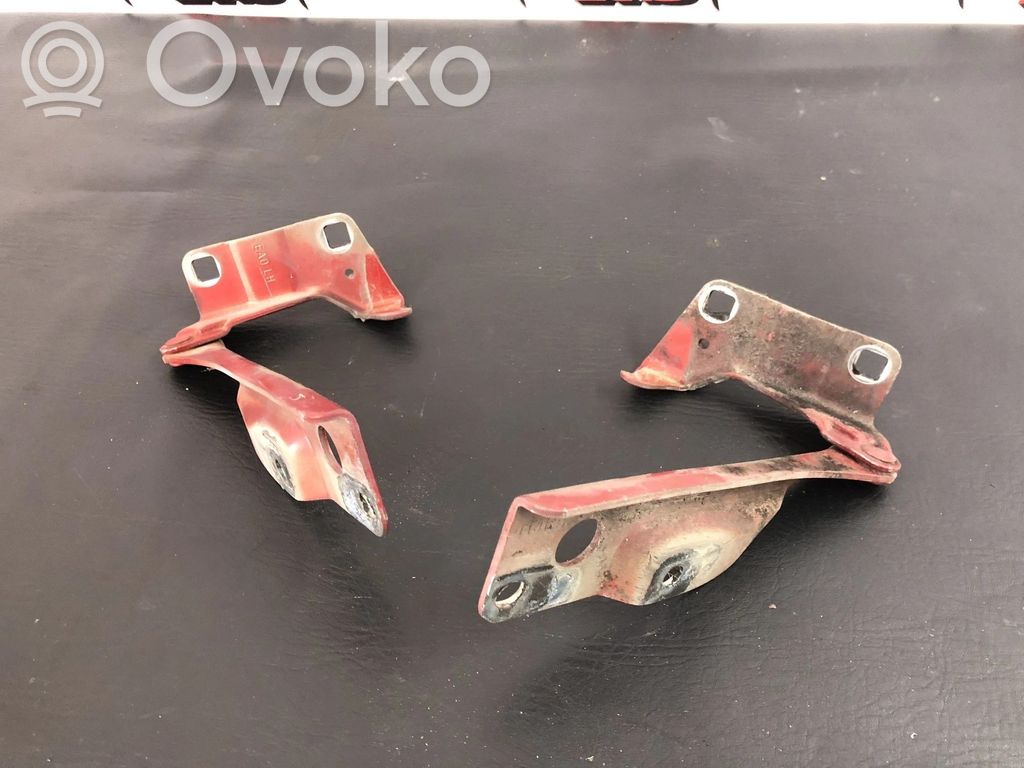 Nissan Navara D40 Vyris (-iai) variklio dangčio 