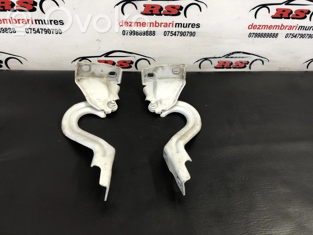 Peugeot Boxer Engine bonnet/hood hinges 