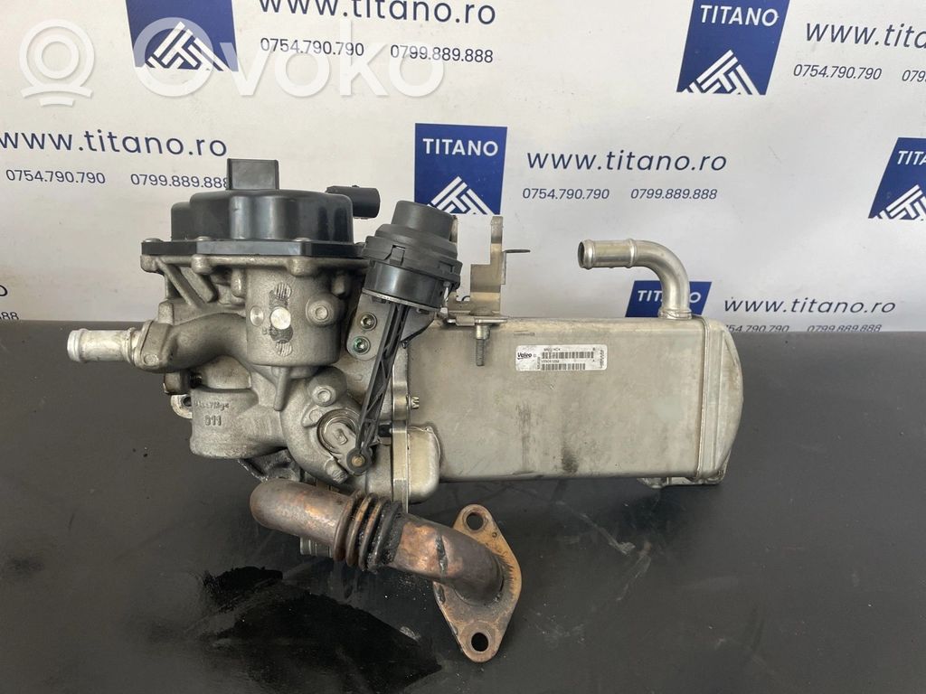 Audi Q5 SQ5 8R Răcitor supapă EGR 