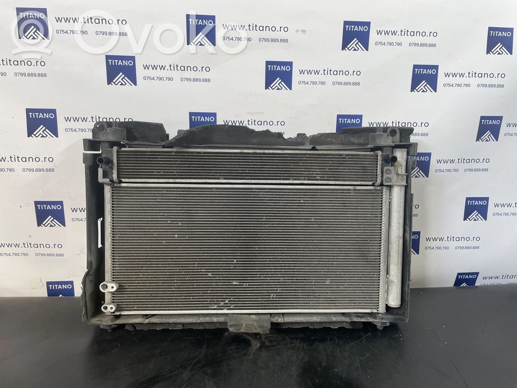 Toyota Prius (XW30) Set radiatoare 