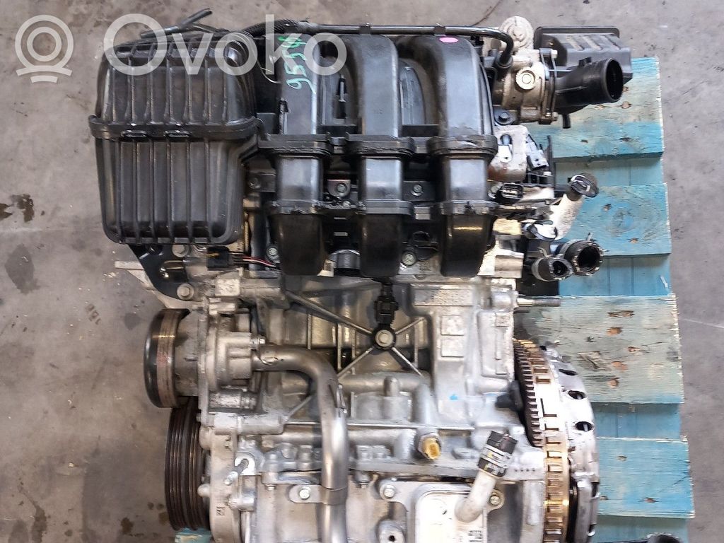 Motor