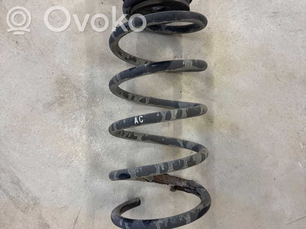 Rear coil spring