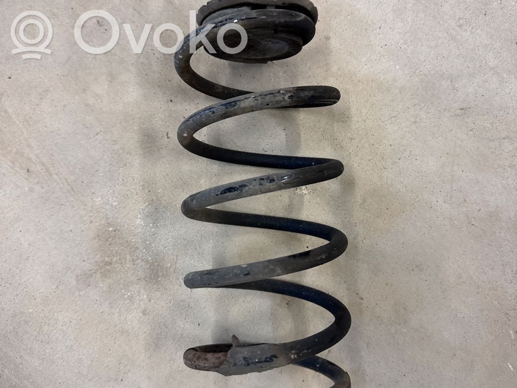Rear coil spring