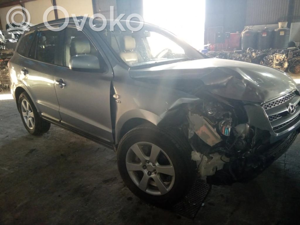 Hyundai Santa Fe Etusäleikkö 
