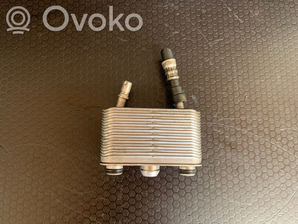 BMW X5 E53 Dzinēja eļļas radiators 