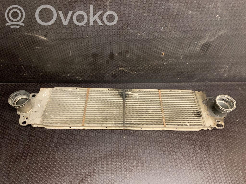 Volkswagen Transporter - Caravelle T5 Radiator intercooler 