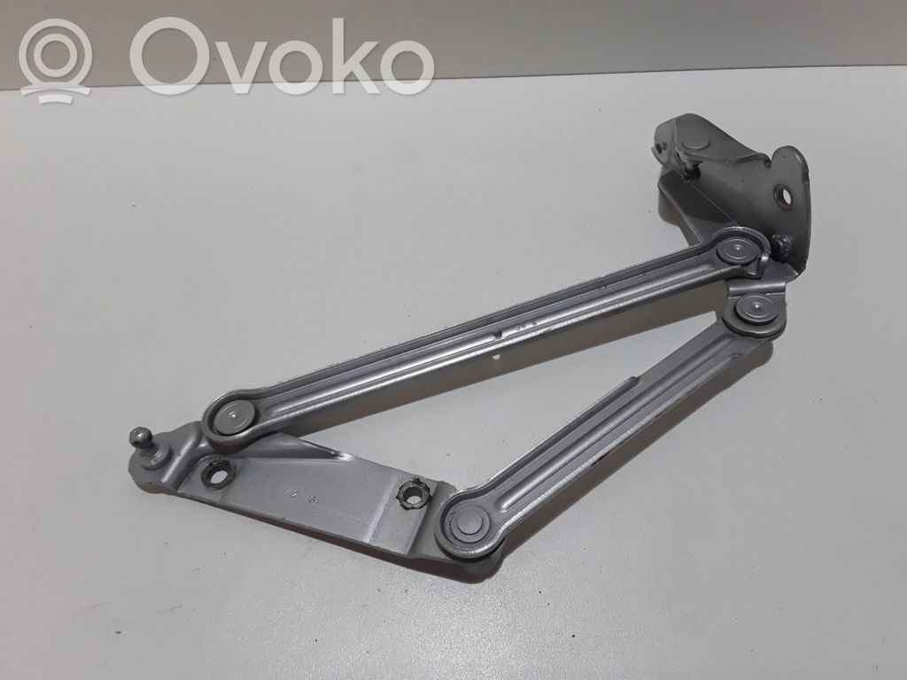 Volkswagen Phaeton Tailgate/trunk/boot hinge 