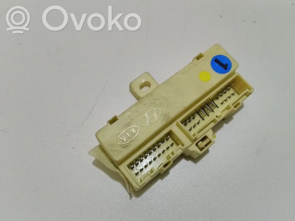 KIA Carens II Módulo de fusible 