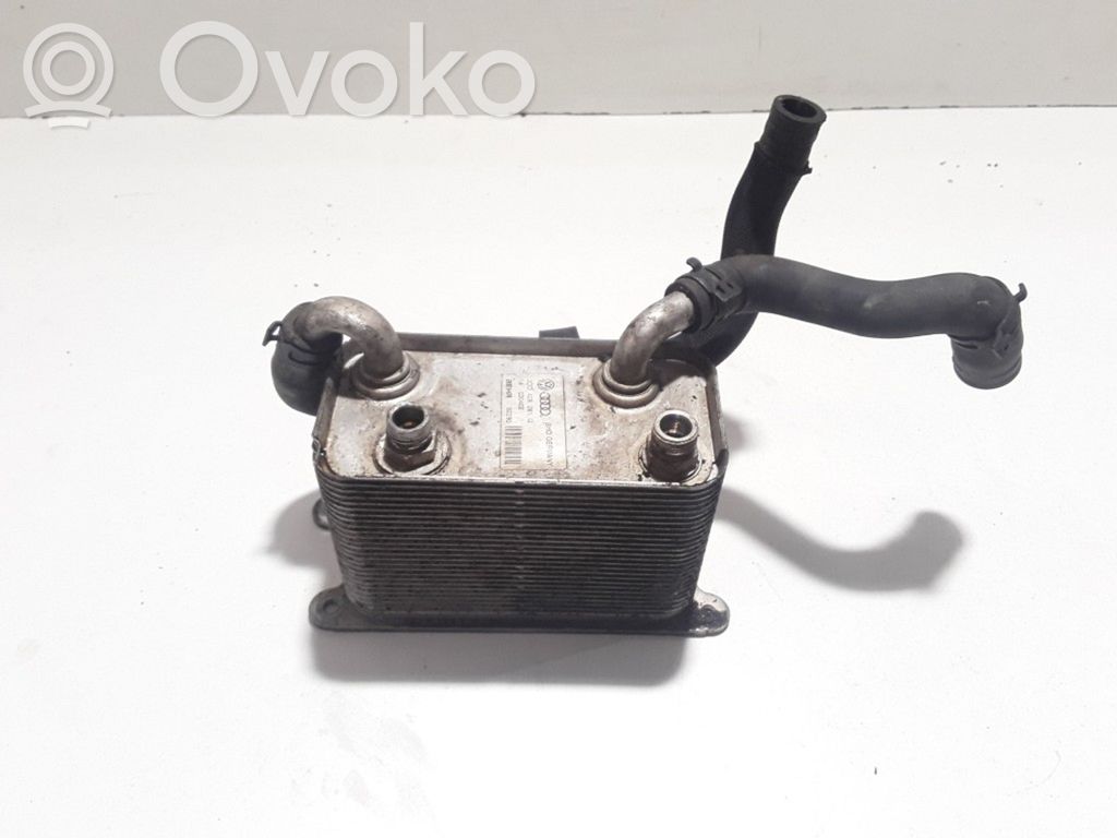 Volkswagen Phaeton Oil filter mounting bracket 