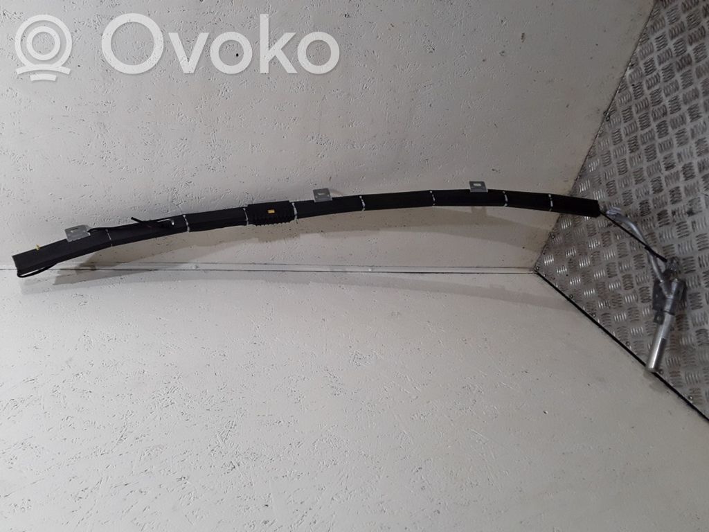 Jaguar X-Type Airbag del techo 
