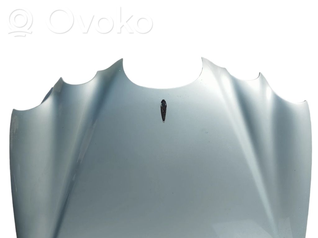 Engine bonnet/hood