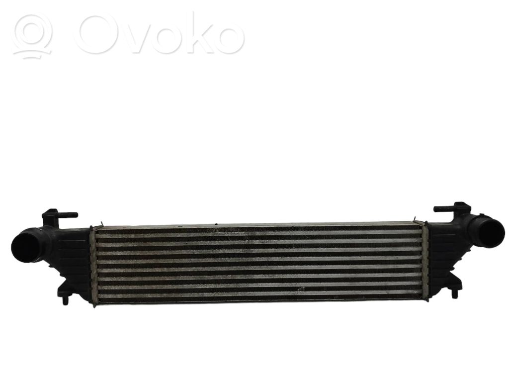 Interkūlerio radiatorius   8E0650000,C542,FIAT330LPL
