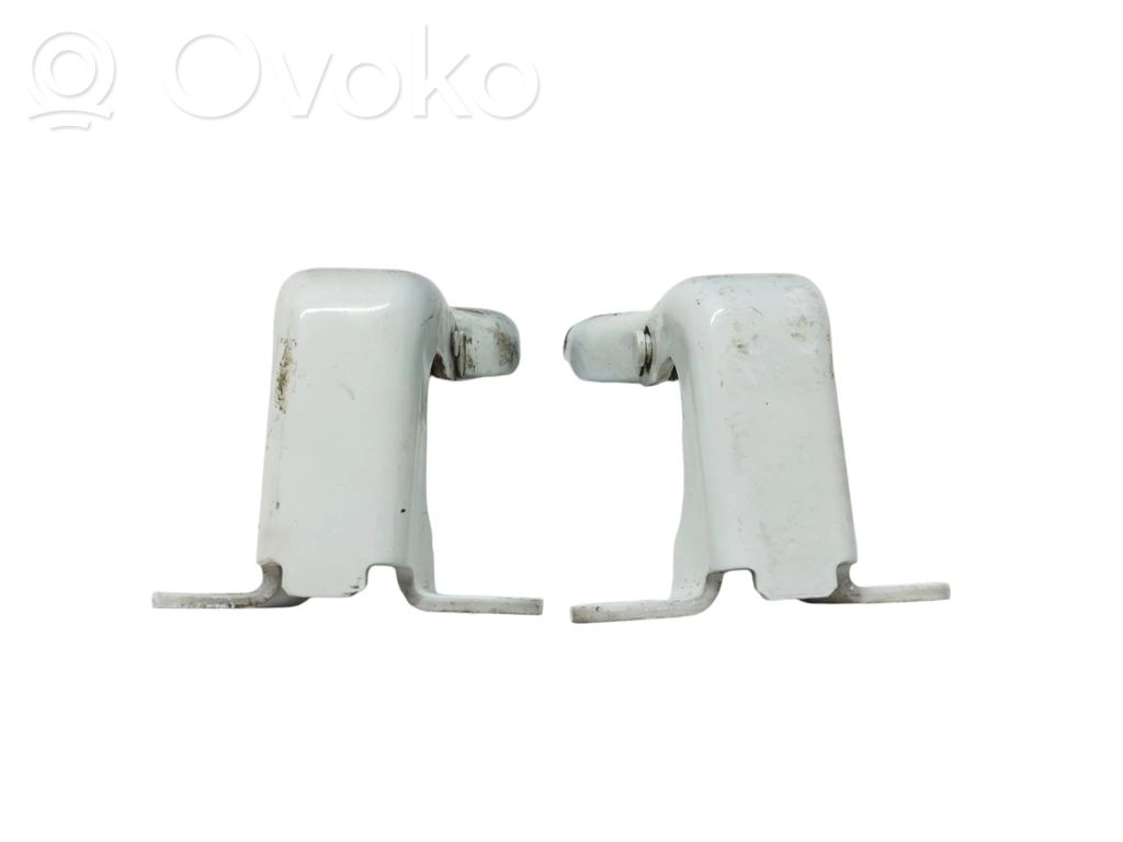 Renault Trafic III (X82) Set di cerniere portiera anteriore 