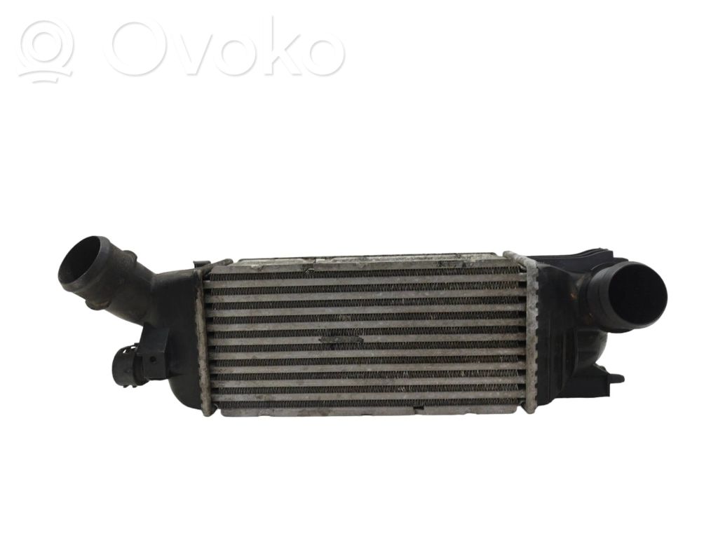 Peugeot 407 Intercooler radiator 