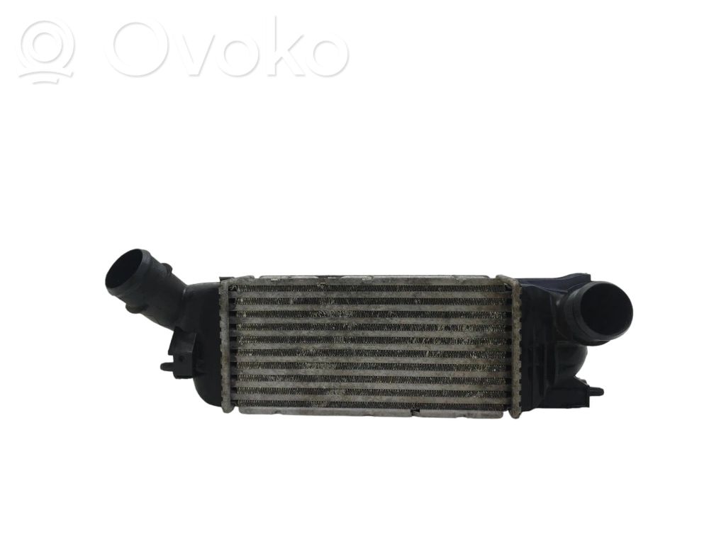 Peugeot 407 Intercooler radiator 