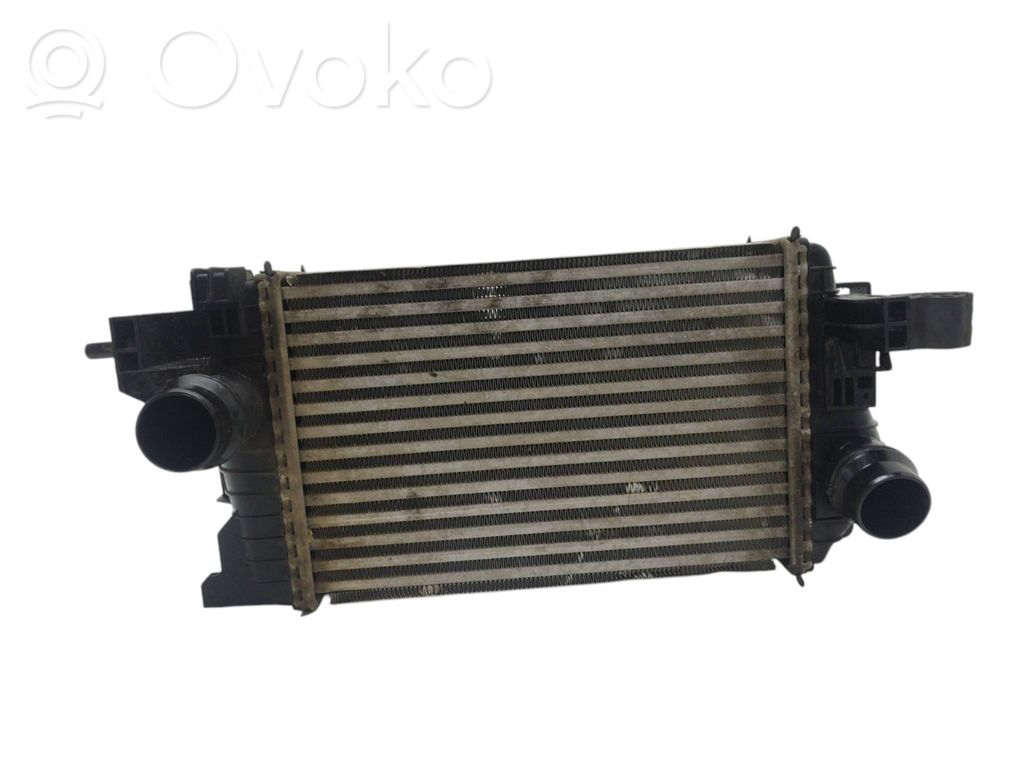 Interkūlerio radiatorius   13283253,R3451004,560961104