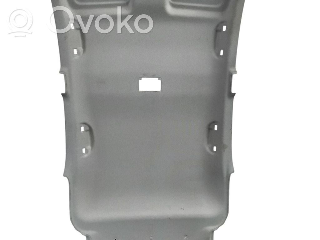 Techo   7811079J006GS
