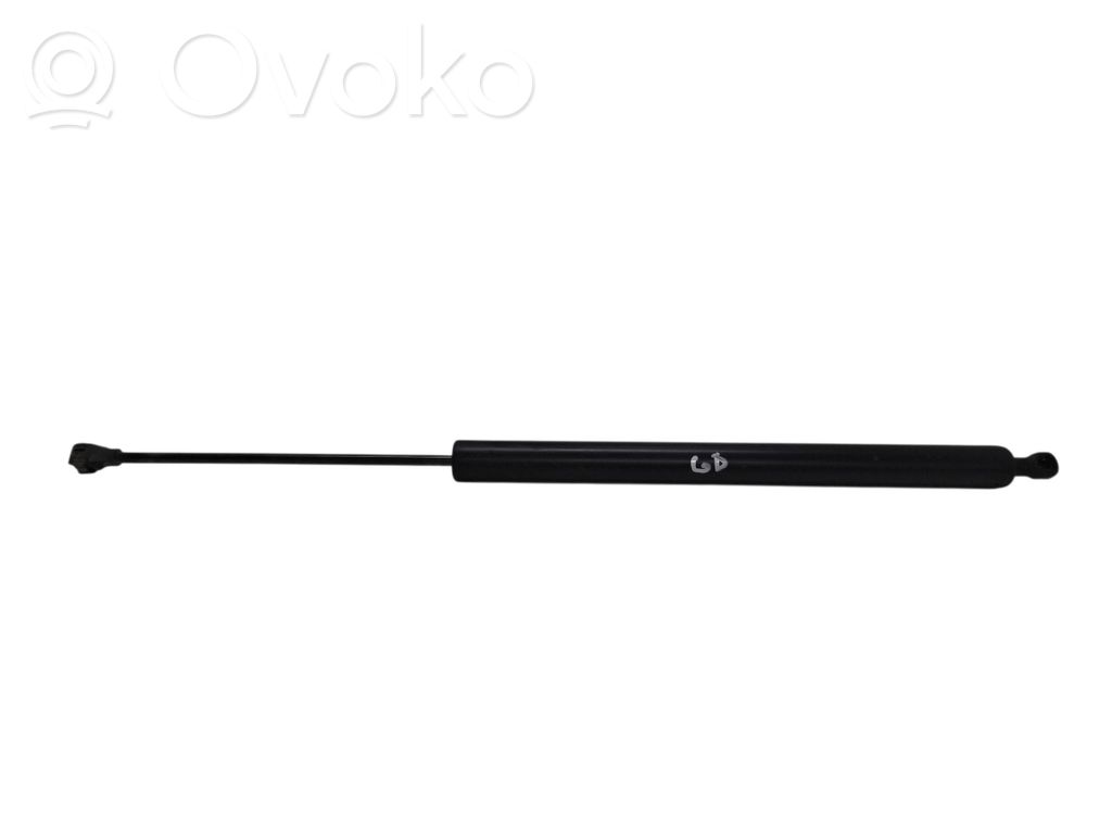 Tailgate/trunk strut/damper