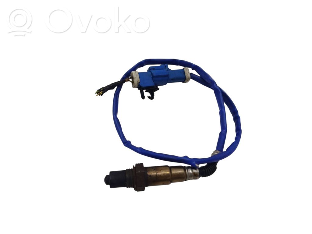 Зонд «Lambda»   CV619G444CB,0258010355