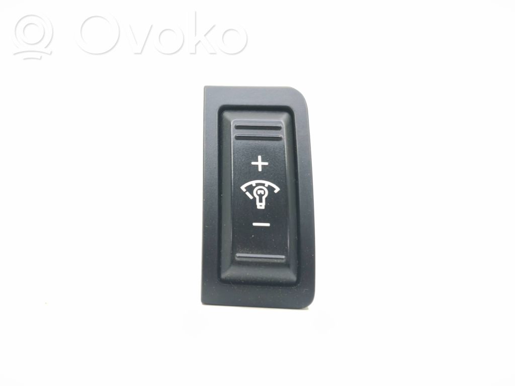 Panel lighting control switch   10317