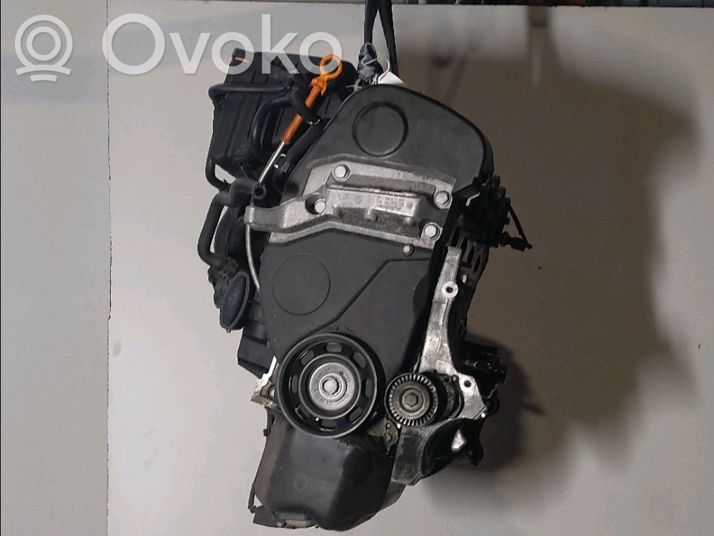 Silnik   36100039R