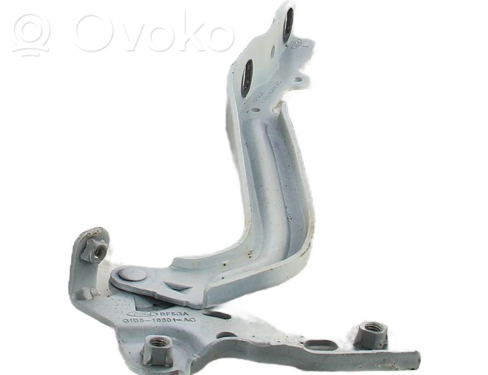 Ford Ka Dzinēja pārsega eņģe (-es) 
