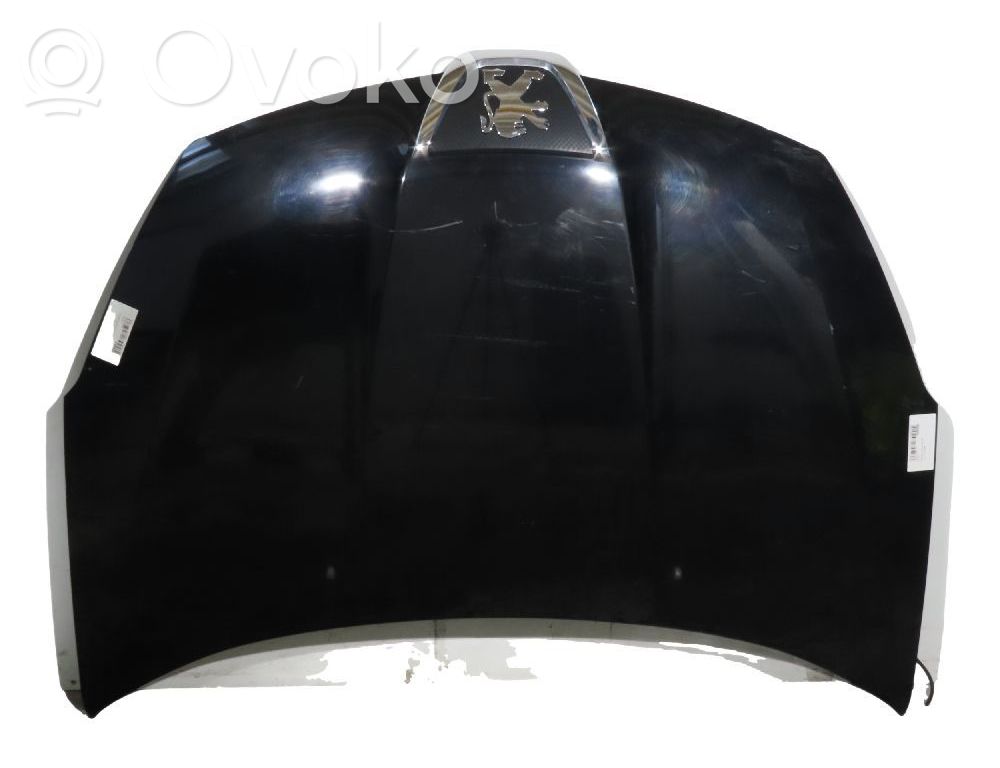 Vano motore/cofano   7901P4