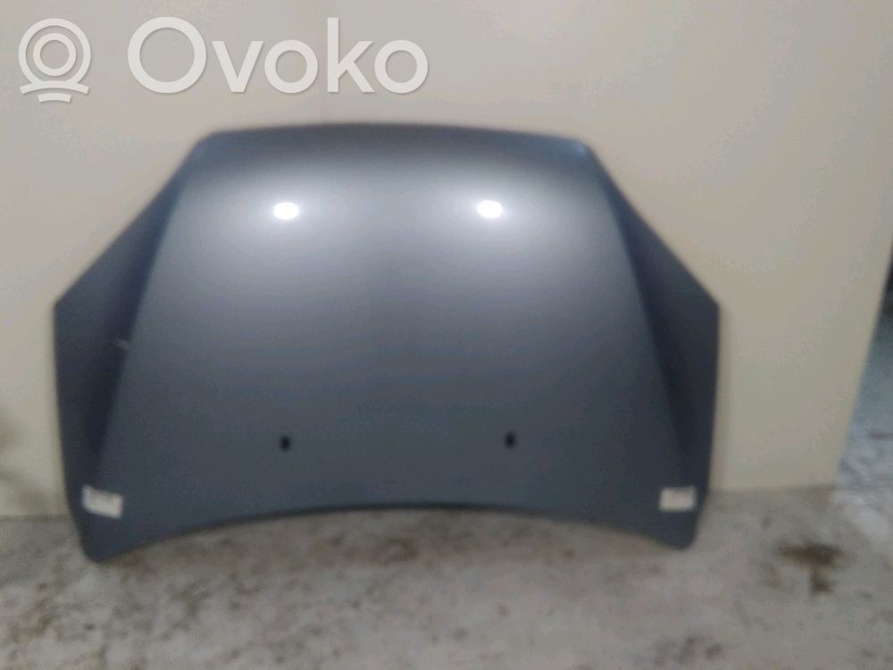 Dzinēja pārsegs (vāks)   1505771