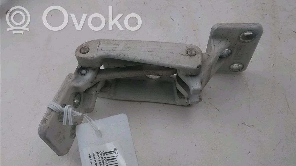 Volkswagen Crafter Cerniera inferiore della portiera di carico 