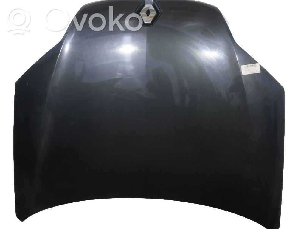 Vano motore/cofano   651000021R