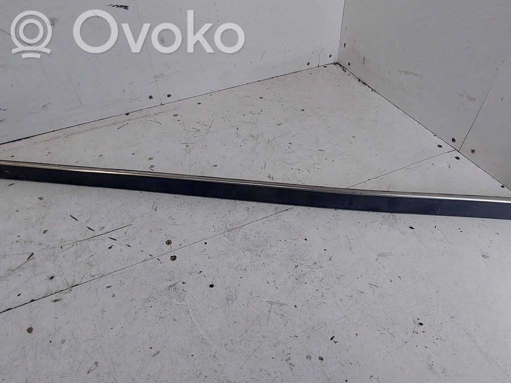 BMW 5 E39 Rivestimento della portiera anteriore (modanatura) 