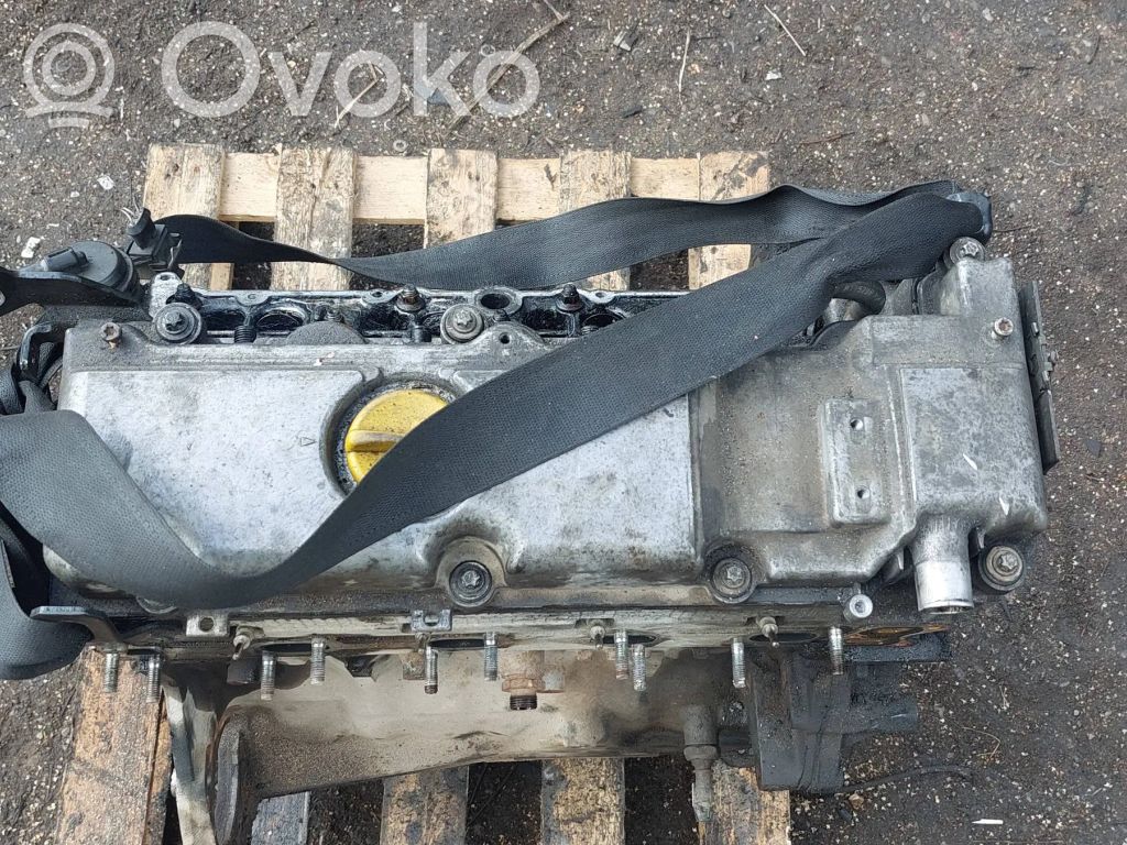 Opel Signum Motor 