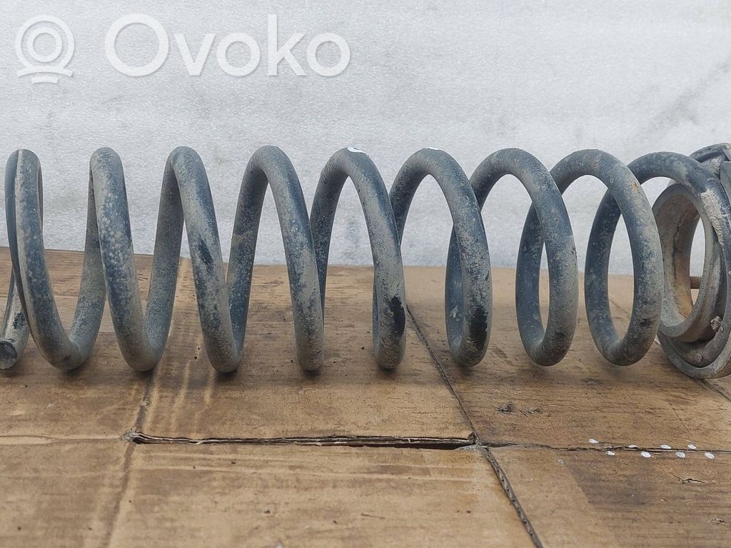 Rear coil spring