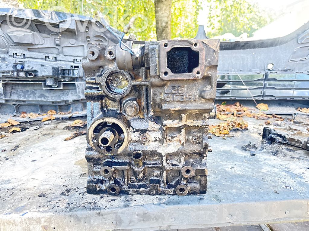 Casalini M10 Motor 