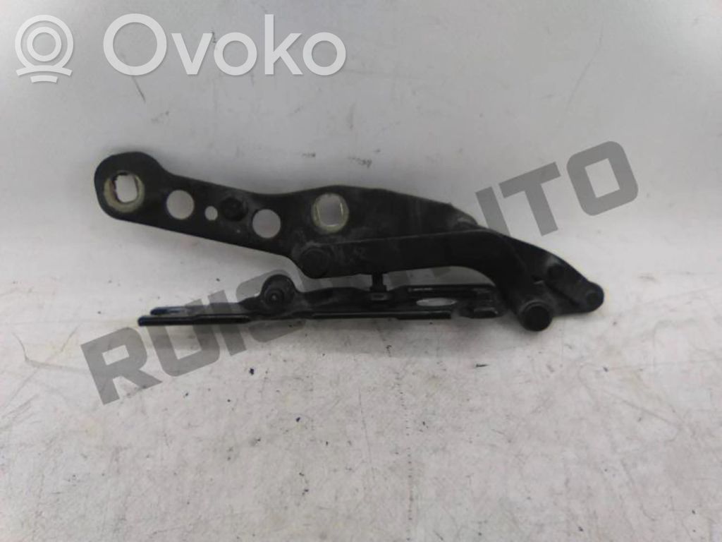 Engine bonnet/hood hinges   NAOVISIVEL
