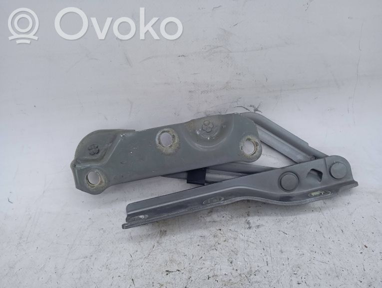Engine bonnet/hood hinges   NAOVISIVEL