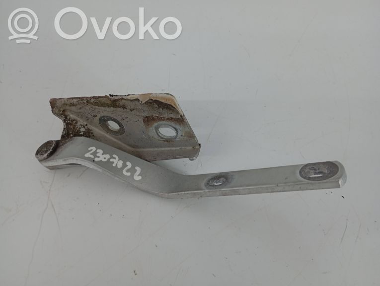 Volkswagen Vento Dzinēja pārsega eņģe (-es) 