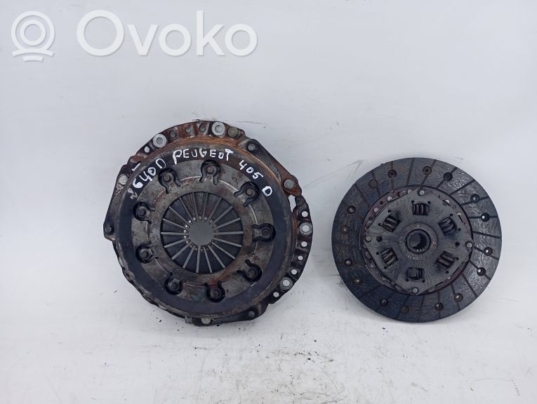 Sankabos diskas   961539480
