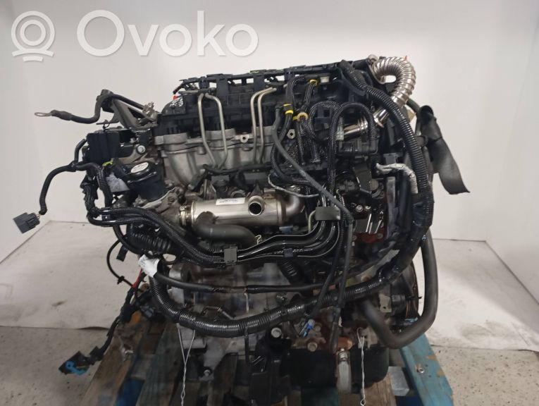 Motor   D4164T