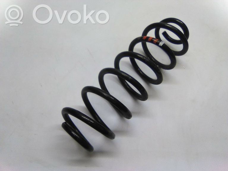 Rear coil spring