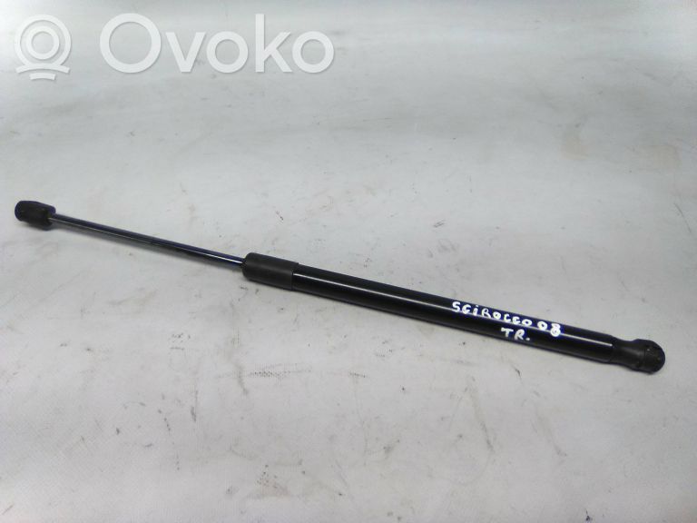 Tailgate/trunk strut/damper