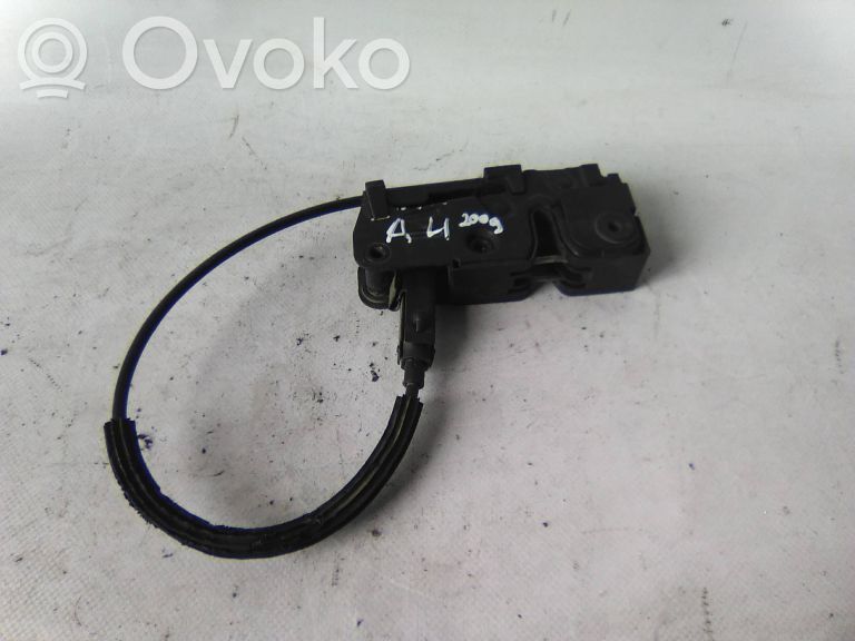 Audi A4 S4 B8 8K Cârlig/încuietoare capotă motor 