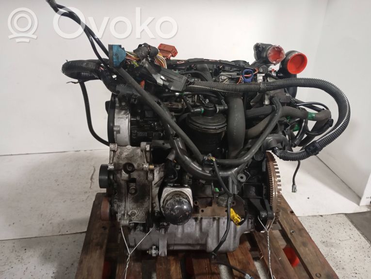 Motor   RHZ